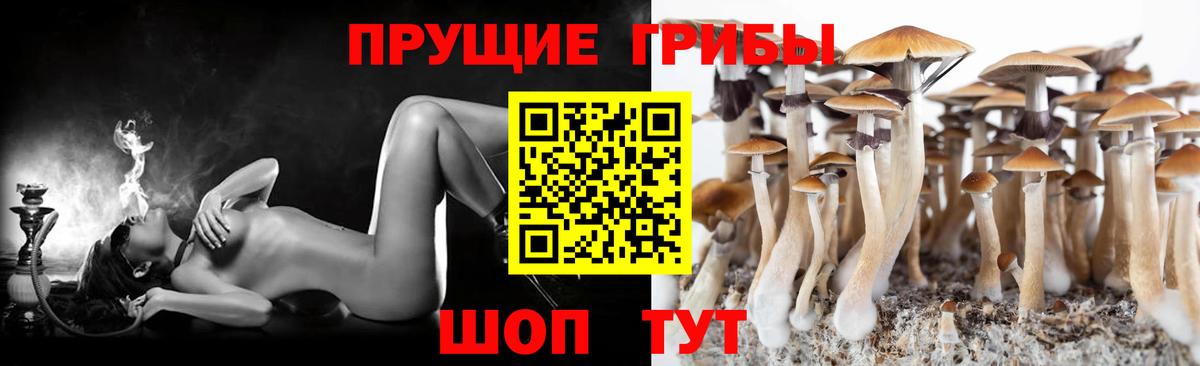 Псилоцибиновые грибы Cubensis  Псилоцибиновые грибы GOLDEN TEACHER  Вольск  Вход с VPN 